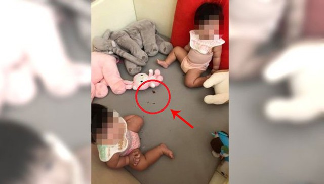 Tá hỏa khi thấy con trai 9 tháng tuổi cho gián vào miệng nhai, mẹ chỉ kịp lấy ra một chiếc chân gián - Ảnh 1.