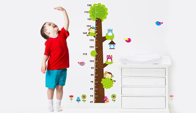 Khi nhỏ con cao vượt trội chưa chắc lớn lên đã chuẩn 