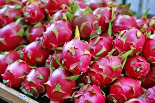 Thanh long đỏ: Loại quả được v&iacute; như 