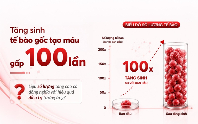Lưu trữ tế bào gốc cho con: Chất lượng mẫu ban đầu hay khả năng tăng sinh trong tương lai quan trọng hơn? - Ảnh 1.