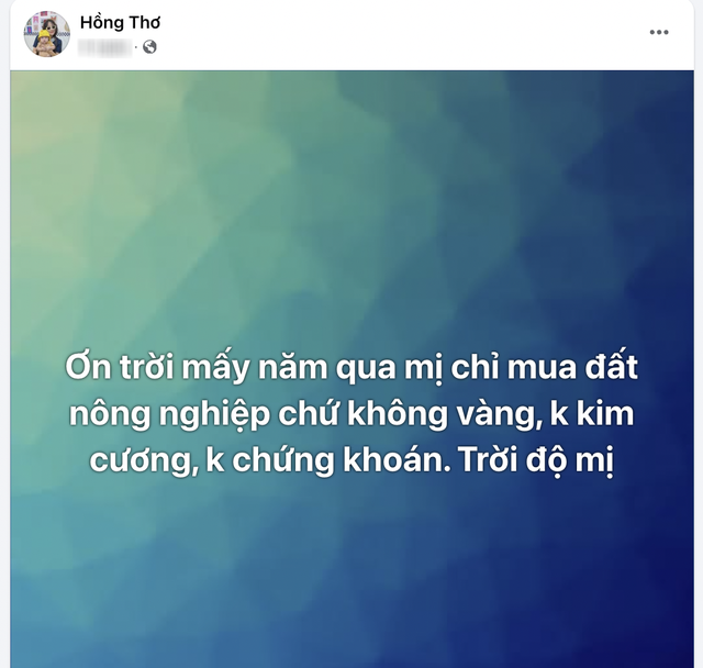 C&oacute; mẹ l&agrave; YouTuber từng kiếm 20 tỷ, cậu cả nh&agrave; Thơ Nguyễn sinh ra đ&atilde; ngậm th&igrave;a v&agrave;ng, c&oacute; ngay 200.000m2 đất - Ảnh 2.