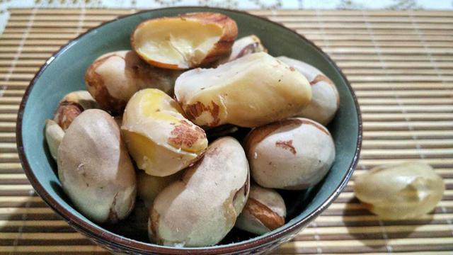Bất ngờ với công dụng của hạt mít: Giàu chất dinh dưỡng, giúp giảm độ ẩm và cải thiện khẩu vị, nhiều người lại thường đem vứt - Ảnh 2.