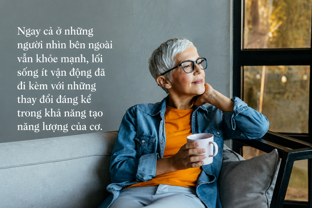 Ng&agrave;y trước leo cầu thang chẳng nghĩ ngợi, giờ mới đi v&agrave;i tầng đ&atilde; thở hổn hển: Kh&ocirc;ng phải v&igrave; tuổi t&aacute;c m&agrave; do c&aacute;ch ch&uacute;ng ta ngồi mỗi ng&agrave;y - Ảnh 3.