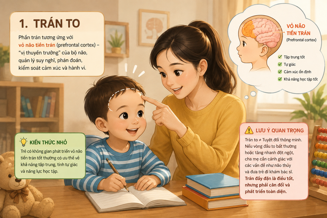 Trẻ có 3 bộ phận này “to”, báo hiệu bé thông minh, có phúc khí, hoàn toàn không phải là mê tín! - Ảnh 1.