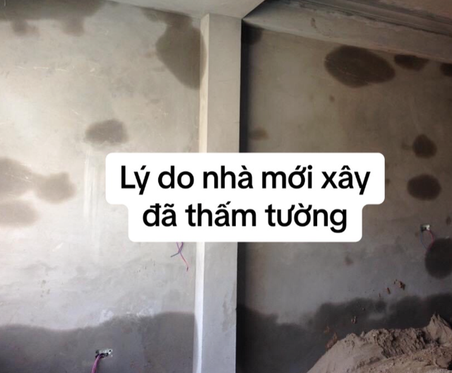 ẩm ướt - Ảnh 1.