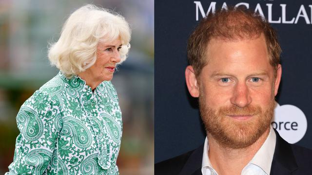 Vương hậu Camilla v&agrave; triết l&yacute; sống im lặng: C&aacute;ch đối diện với Vương tử Harry - Ảnh 1.