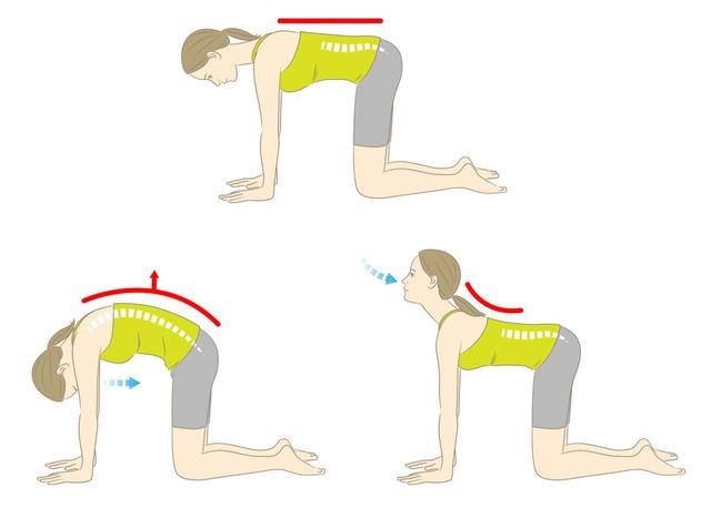 Sau tuổi 30, nhiều phụ nữ bị đau vùng chậu kéo dài nhưng bỏ qua dấu hiệu này: 5 động tác giúp cơ thể dễ chịu hơn - Ảnh 5.