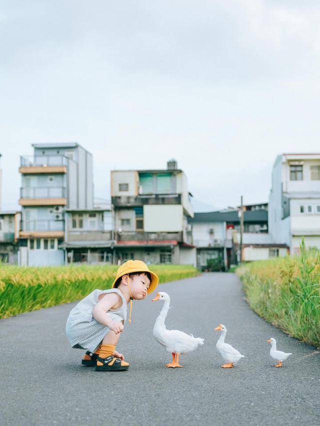  - Ảnh 3.