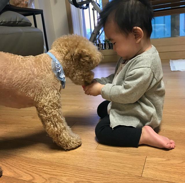 Một đứa trẻ yêu thương động vật, khi lớn lên sẽ có gì đặc biệt? - Ảnh 2.