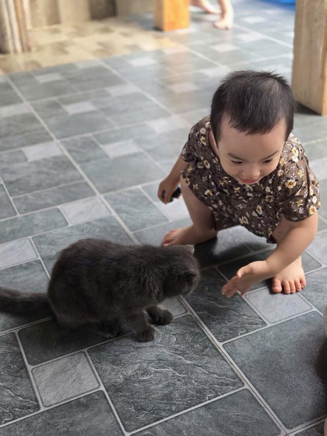 Một đứa trẻ yêu thương động vật, khi lớn lên sẽ có gì đặc biệt? - Ảnh 1.