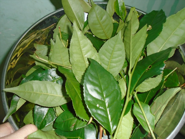 Cụ b&agrave; - Ảnh 4.