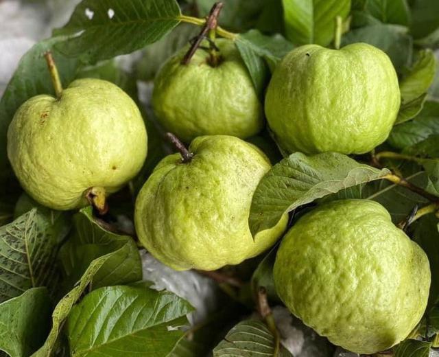 Vua long đờm trong tr&aacute;i c&acirc;y: C&aacute;c lọai quả hỗ trợ sức khỏe h&ocirc; hấp - Ảnh 1.