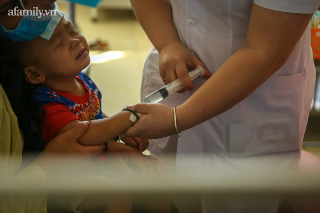 Vụ bé gái 2 tháng tuổi tử vong sau khi tiêm vaccine 5 trong 1 ở Sơn La: Thêm 4 cháu nhỏ nhập viện điều trị - Ảnh 6.