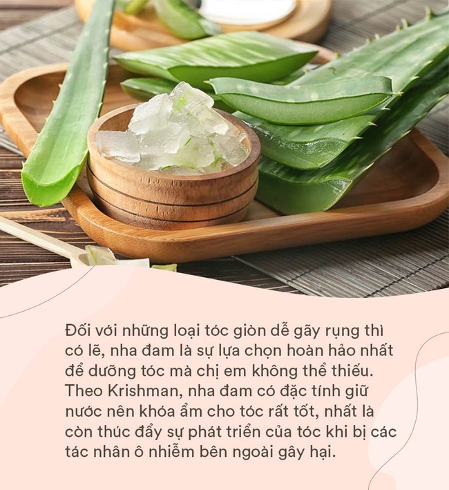 Những phụ nữ có mái tóc chắc khỏe, suôn mượt thường thoa 5 dưỡng chất tự nhiên này lên đầu mỗi ngày, vừa tốt cho tóc còn giúp da đầu khỏe mạnh - Ảnh 3.