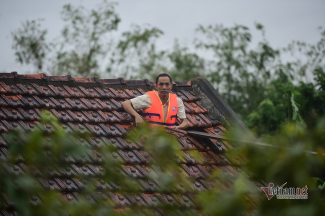 "Thắt ruột" trước những hình ảnh miền Trung bị nhấn chìm trong trận "đại hồng thủy" - Ảnh 10. "Thắt ruột" trước những hình ảnh miền Trung bị nhấn chìm trong trận "đại hồng thủy" - Ảnh 10.
