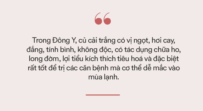 Loại củ giá vài chục 1kg ở Việt Nam không ngờ chính là &quot;vũ khí&quot; sống thọ của người Nhật, chống 3 loại ung thư, dùng làm thuốc trị bệnh nào cũng tốt - Ảnh 3.