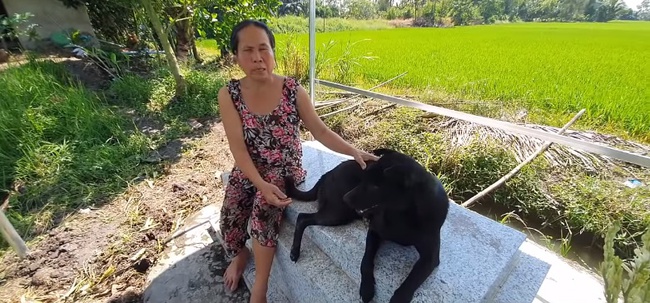 Cảm thương chú chó trung thành nằm canh mộ chủ suốt 3 năm ở Long An, mạnh thường quân góp tiền xây mái che cho mộ để chú chó có chỗ trú nắng, trú mưa  - Ảnh 4.