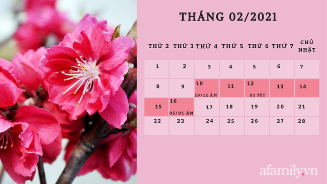Chính thức: Chốt phương án nghỉ Tết Nguyên đán Tân Sửu 2021 - Ảnh 1. Chính thức: Chốt phương án nghỉ Tết Nguyên đán Tân Sửu 2021 - Ảnh 1.