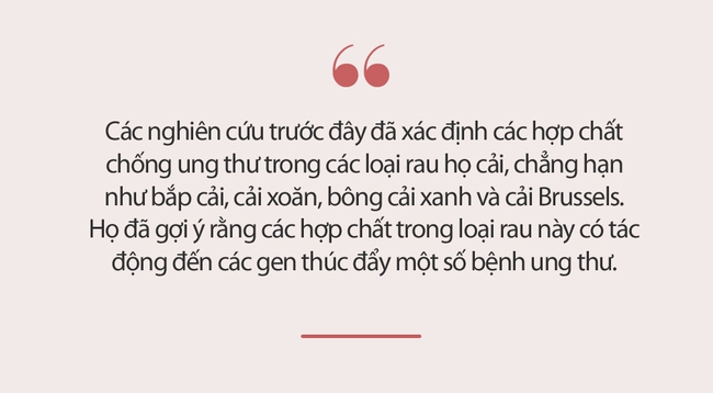 &quot;Kẻ thù&quot; của ung thư chính là họ nhà rau này, ăn mỗi ngày để nuôi dưỡng dạ dày, lá lách, thúc đẩy trao đổi chất và đánh bay tế bào ung thư - Ảnh 3.