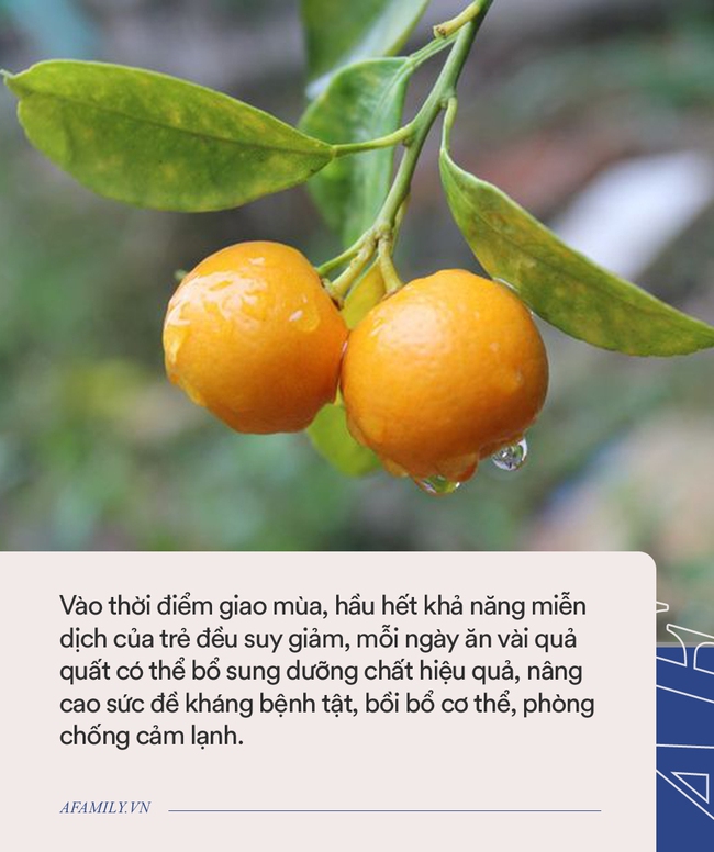 Đầu thu, mẹ cứ cho con ăn 8 loại quả này, con khỏe mạnh, không ốm vặt - Ảnh 3.