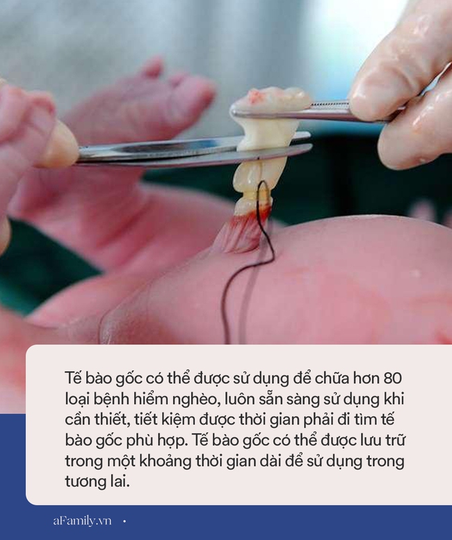 Xứng danh "ngậm thìa vàng từ trong trứng", cặp sinh đôi nhà Hồ Ngọc Hà vừa ra đời đã được bố mẹ chi tiền khủng, có thể lên đến gần 600 triệu - Ảnh 4. Xứng danh "ngậm thìa vàng từ trong trứng", cặp sinh đôi nhà Hồ Ngọc Hà vừa ra đời đã được bố mẹ chi tiền khủng, có thể lên đến gần 600 triệu - Ảnh 4.