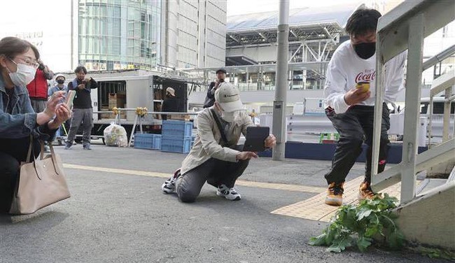 Một củ cải trắng ngang nhiên mọc giữa thành phố xịn nhất Nhật Bản bỗng dưng trở thành điểm check-in nổi tiếng - Ảnh 2.
