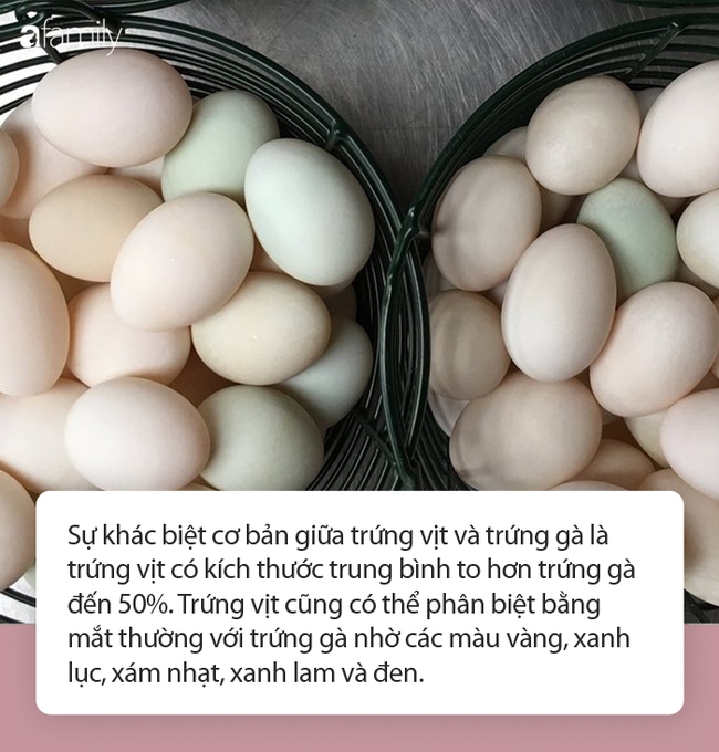 10 lý do khiến trứng vịt bỗng dưng ngon bổ hơn trứng gà nhưng nhận định của chuyên gia mới là điều bạn cần ghi nhớ khi ăn - Ảnh 2.
