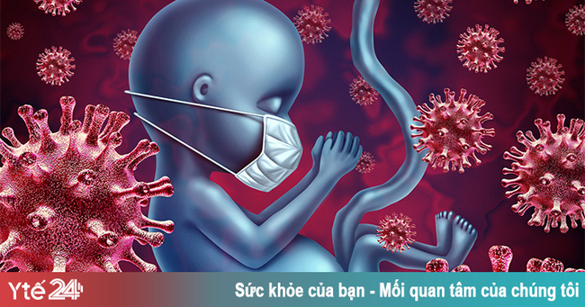 Thai nhi tự sản sinh kháng thể nếu mẹ mắc COVID-19 - Ảnh 1.