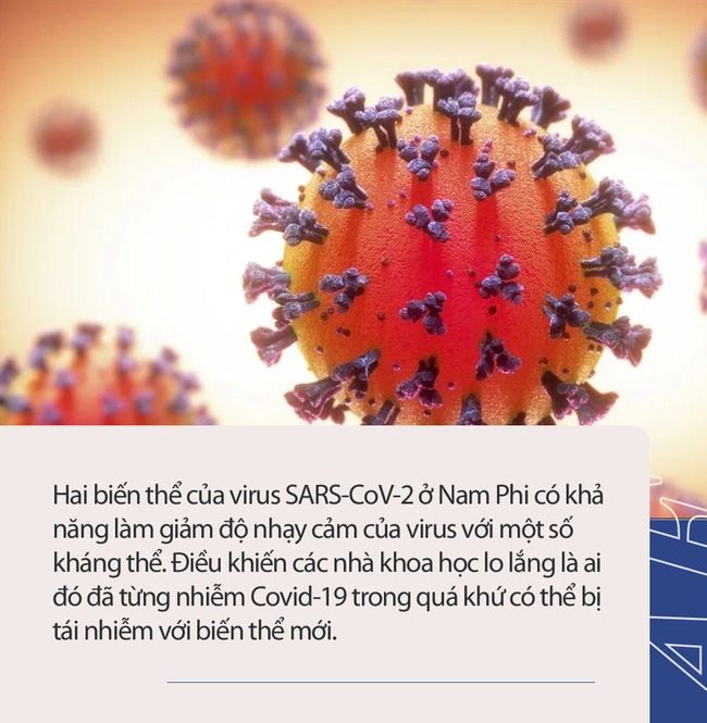 Biến thể của virus SARS-CoV-2 ở Nam Phi: Nguy hiểm đến mức nào và vắc-xin có thể ngăn chặn được chủng đột biến mới? - Ảnh 3.