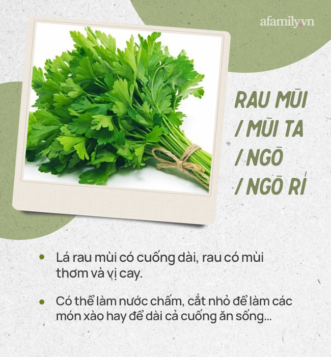 Đừng tự nhận mình là gái đảm nếu chưa phân biệt được các loại rau thơm này hội chị em nhé!  - Ảnh 1.