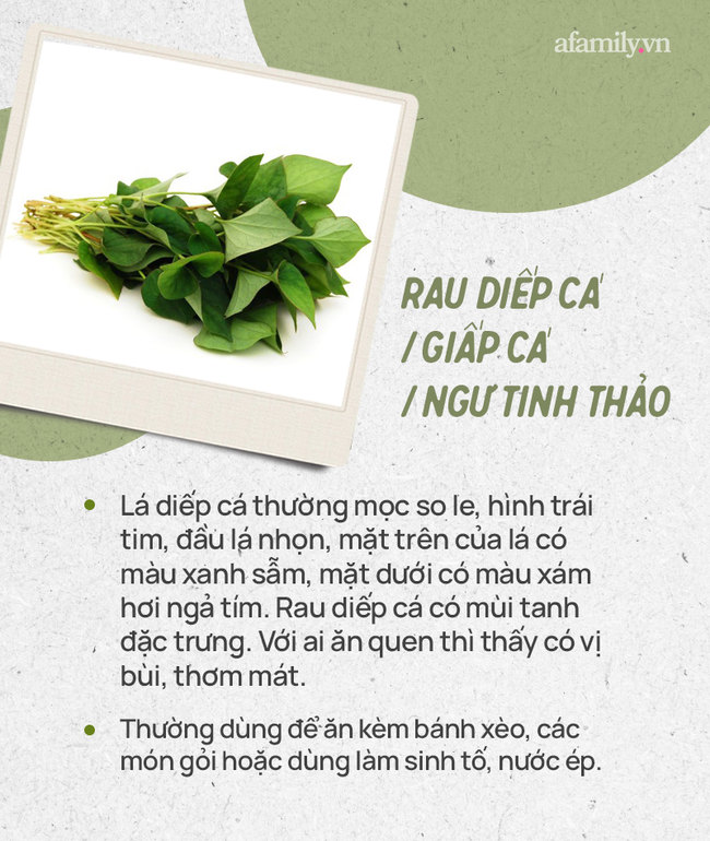 Đừng tự nhận mình là gái đảm nếu chưa phân biệt được các loại rau thơm này hội chị em nhé!  - Ảnh 23.