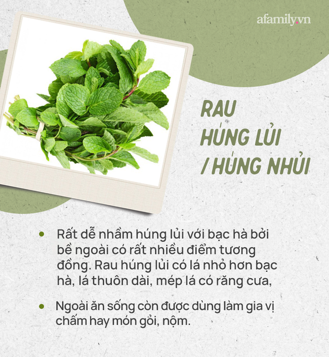 Đừng tự nhận mình là gái đảm nếu chưa phân biệt được các loại rau thơm này hội chị em nhé! - Ảnh 6.