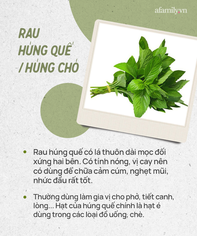 Đừng tự nhận mình là gái đảm nếu chưa phân biệt được các loại rau thơm này hội chị em nhé! - Ảnh 7.