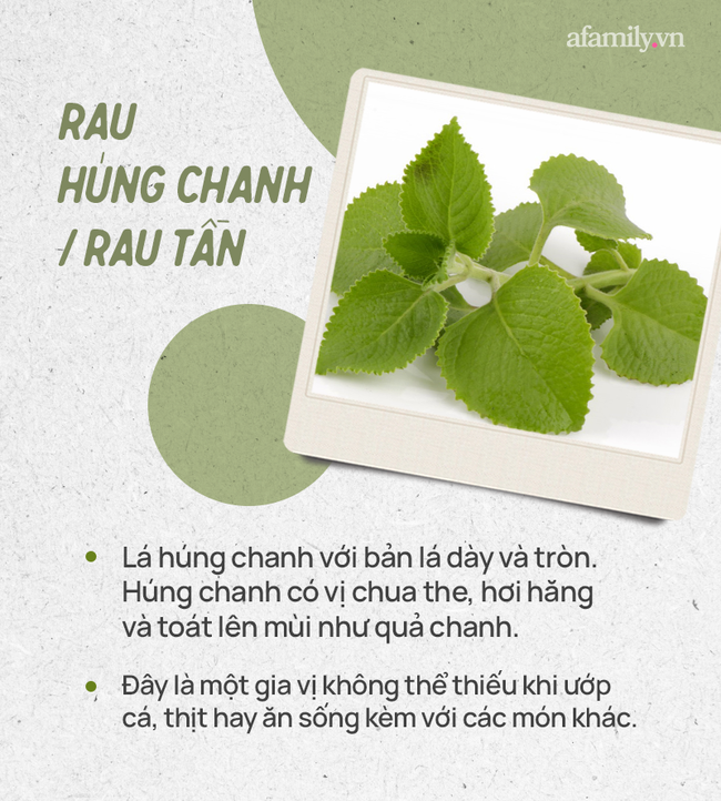 Đừng tự nhận mình là gái đảm nếu chưa phân biệt được các loại rau thơm này hội chị em nhé!  - Ảnh 9.