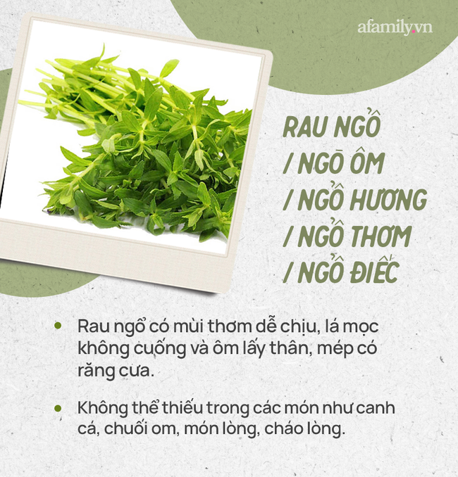 Đừng tự nhận mình là gái đảm nếu chưa phân biệt được các loại rau thơm này hội chị em nhé!  - Ảnh 15.