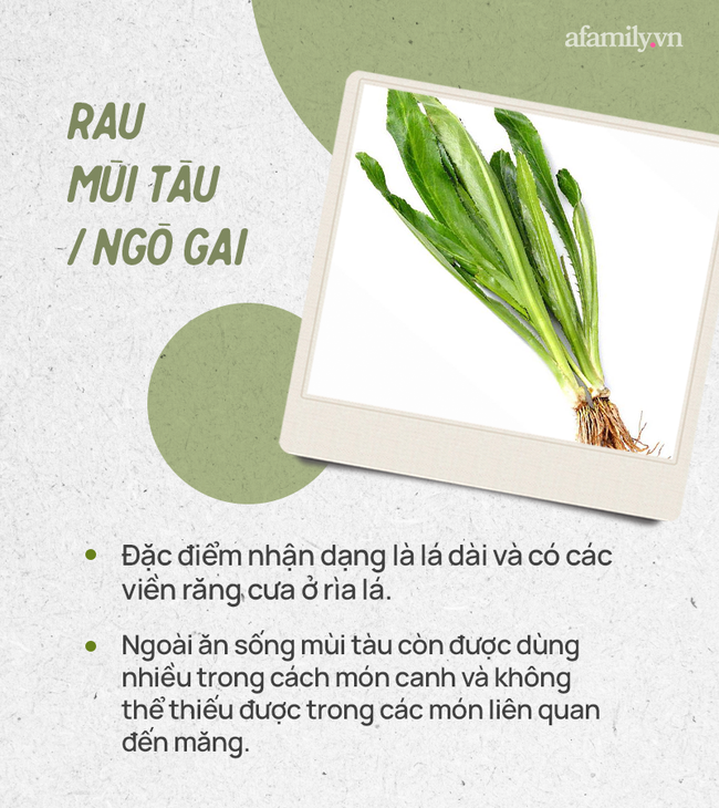 Đừng tự nhận mình là gái đảm nếu chưa phân biệt được các loại rau thơm này hội chị em nhé!  - Ảnh 17.