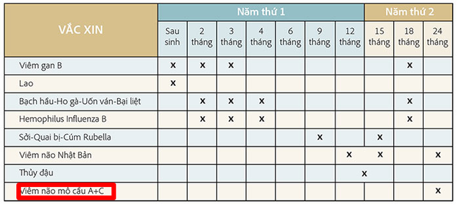 Khan hiếm vắc xin viêm màng não mô cầu, bố mẹ có thể làm việc này để con vẫn được tiêm chủng đúng lịch - Ảnh 4. Khan hiếm vắc xin viêm màng não mô cầu, bố mẹ có thể làm việc này để con vẫn được tiêm chủng đúng lịch - Ảnh 4.
