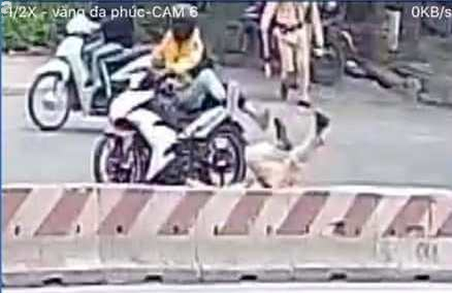 Hà Nội: Làm rõ đôi nam nữ đi xe máy tông gục CSGT ngay tại vòng xuyến - Ảnh 3.