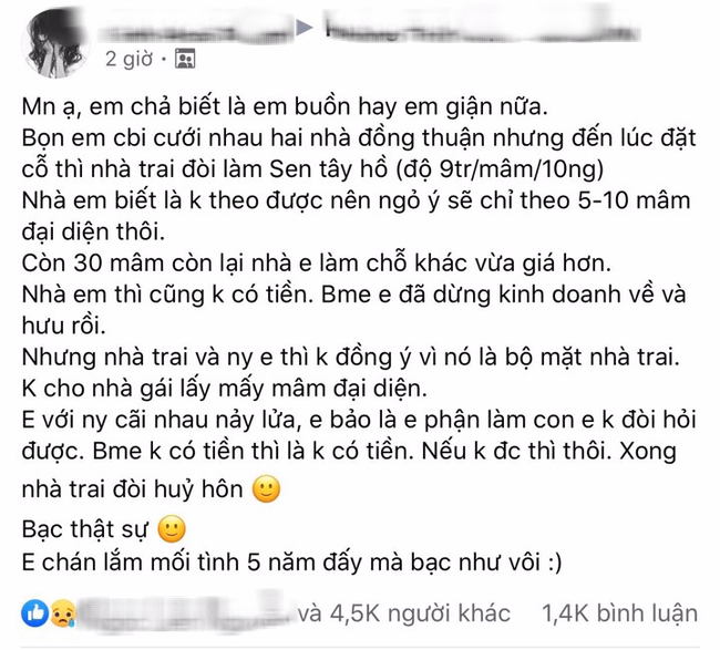 Yêu 5 năm, cô gái bị nhà trai đòi hủy hôn vì &quot;đôi co&quot; mâm cỗ trong đám cưới - Ảnh 1.