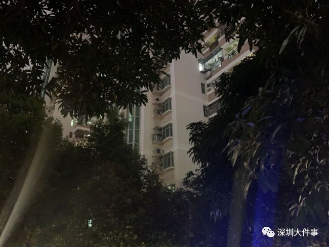 Trung Quốc: Hai đứa trẻ 9 tuổi và 5 tuổi rơi từ tầng 19 tử vong thương tâm, điều đáng nói lúc sự việc xảy ra trong nhà có người - Ảnh 2.