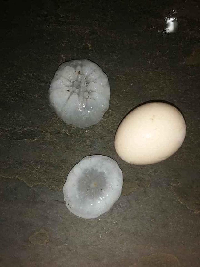 Mưa đá bất ngờ ở Lai Châu: Mật độ dày đặc, hạt to như quả trứng gà - Ảnh 6.