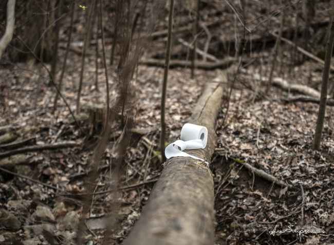 Chụp hình cuộn giấy vệ sinh chơ vơ giữa rừng như loài &quot;sắp tuyệt chủng&quot;, nữ nhiếp ảnh gia khiến cộng đồng mạng được trận cười vỡ bụng, nể phục ý tưởng sáng tạo - Ảnh 5.