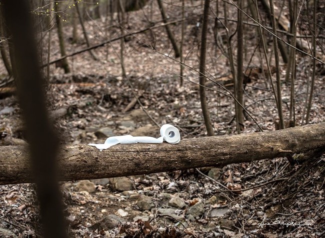 Chụp hình cuộn giấy vệ sinh chơ vơ giữa rừng như loài &quot;sắp tuyệt chủng&quot;, nữ nhiếp ảnh gia khiến cộng đồng mạng được trận cười vỡ bụng, nể phục ý tưởng sáng tạo - Ảnh 3.