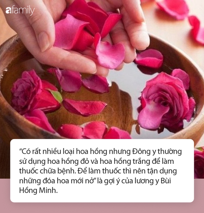 Chữa vô số bệnh thường gặp, loại hoa xinh xắn này còn giúp giảm cân, dưỡng nhan cực tốt, chị em không tận dụng vào thời điểm này đúng là quá phí! - Ảnh 1.