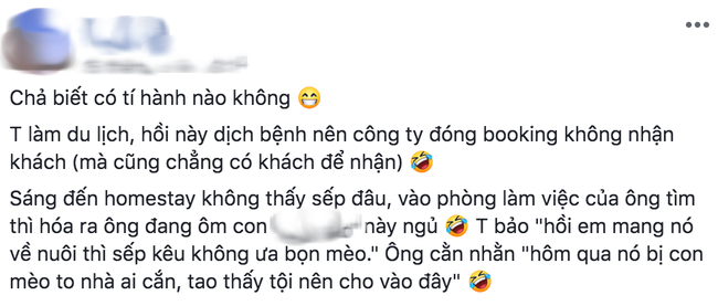 Cô nàng bàng hoàng phát hiện sếp ôm một thứ ngủ trong văn phòng nhưng lý do đằng sau khiến cư dân mạng ngã ngửa xúc động - Ảnh 1.