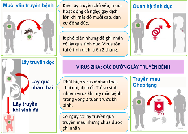 Bà bầu có dễ mắc COVID-19 hơn người khác? Mẹ bỉm sữa cho con bú có bị lây bệnh không? Đây là các câu trả lời đúng - Ảnh 2.