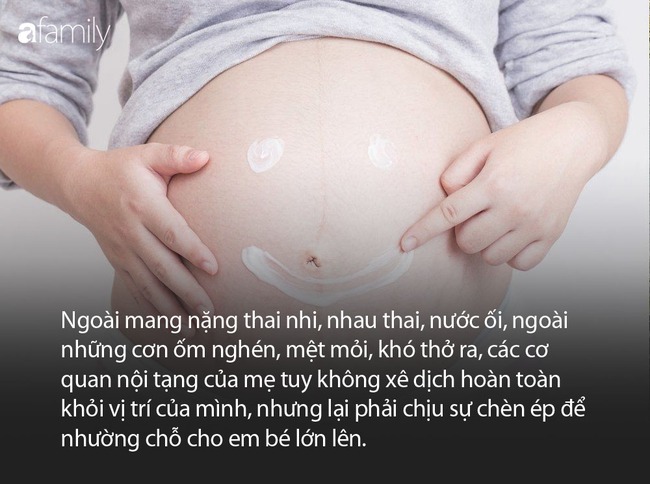 Kinh ngạc với sự &quot;biến dạng&quot; của các cơ quan nội tạng trong cơ thể người mẹ khi mang thai - Ảnh 1.