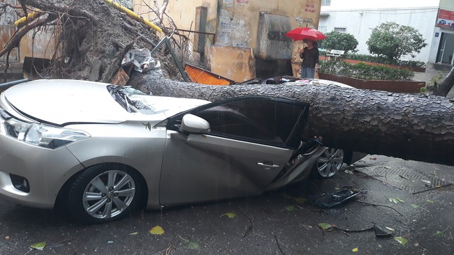 Sau cơn mưa lớn bất ngờ ở Hà Nội, chiếc ô tô bị cây đổ đè bẹp đến biến dạng - Ảnh 4.
