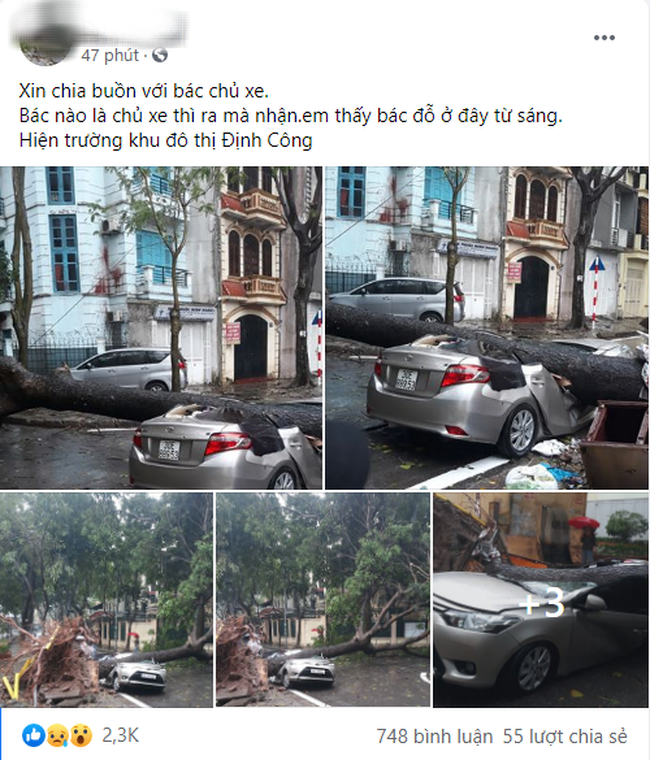 Sau cơn mưa lớn bất ngờ ở Hà Nội, chiếc ô tô bị cây đổ đè bẹp đến biến dạng - Ảnh 1.
