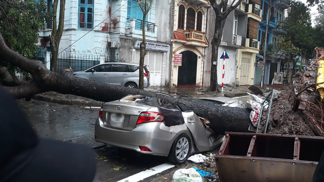 Sau cơn mưa lớn bất ngờ ở Hà Nội, chiếc ô tô bị cây đổ đè bẹp đến biến dạng - Ảnh 3.